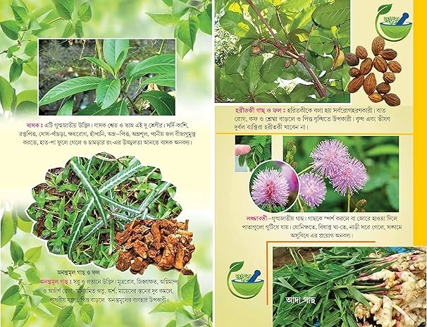 সহজ পারিবারিক আয়ুর্বেদিক চিকিৎসা (বাংলা সংস্করণ) Sahaj Paribarik Ayurvedic Chikitsa In Bengali