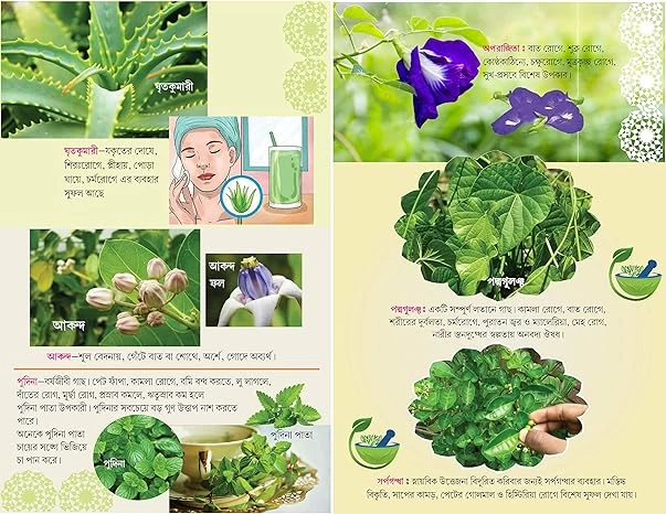 সহজ পারিবারিক আয়ুর্বেদিক চিকিৎসা (বাংলা সংস্করণ) Sahaj Paribarik Ayurvedic Chikitsa In Bengali