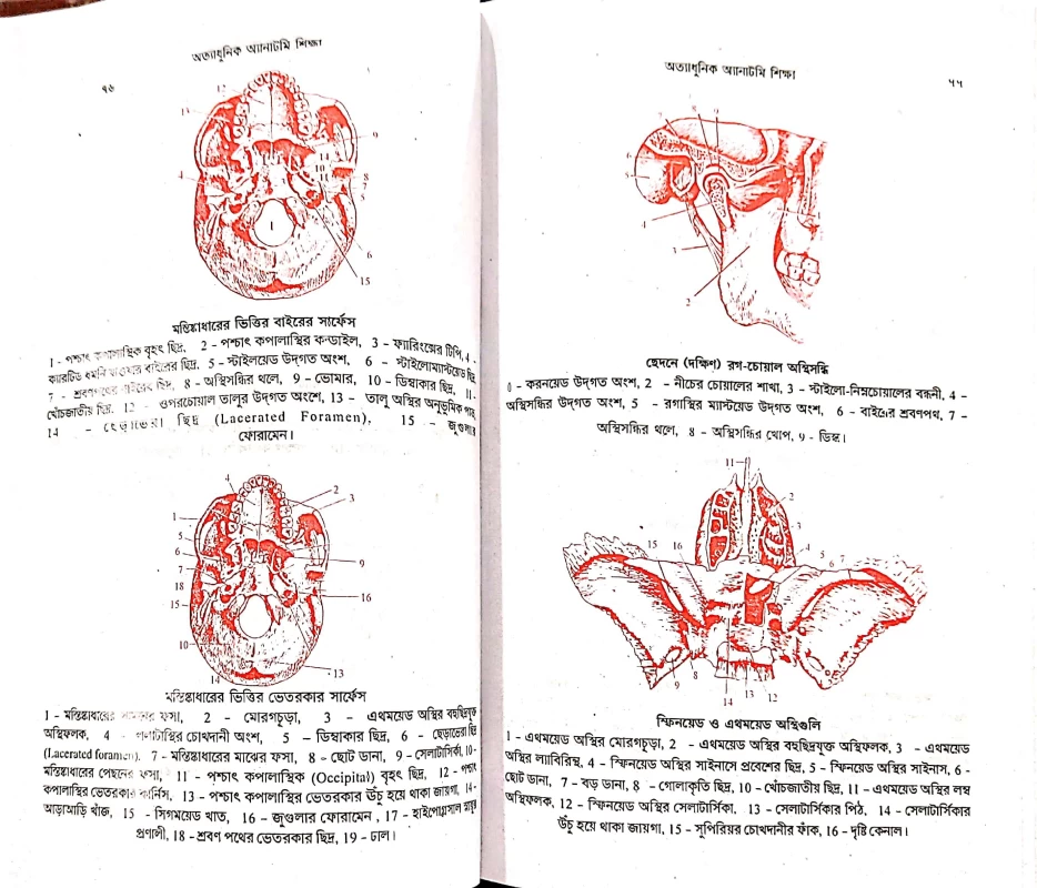 অত্যাধুনিক অ্যানাটমি শিক্ষা ডা. এ. কে. চাকলাদার এ. বি. পাবলিকেশন