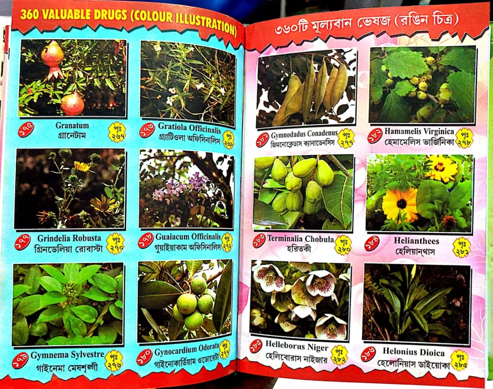 ম্যাজিক চিকিৎসায় অব্যর্থ মাদারটিং চার থেরাপী ফার্মাকোপিয়া