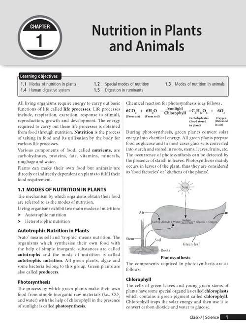 MTG Olympiad Prep-Guide Class 7 Science (NSO) - Detailed Theory NSO Chapterwise Previous Years Questions with Self Test For SOF 2025-26 Exam