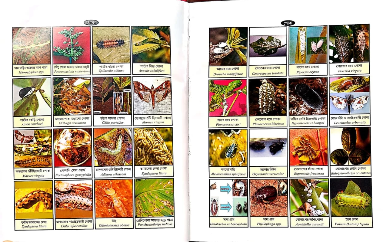 PHASALER ROG-POKAR DAKTARI || A Handbook of Plant Protection for Crops || Author : Dr. Goshto Nayban || Publisher : Mehanati Prakashani