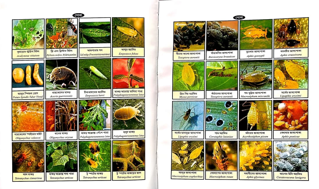 PHASALER ROG-POKAR DAKTARI || A Handbook of Plant Protection for Crops || Author : Dr. Goshto Nayban || Publisher : Mehanati Prakashani